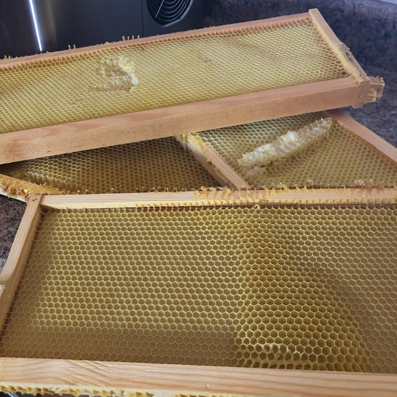 Hand Crafted Beeswax Body balm - Picture 4 of 11